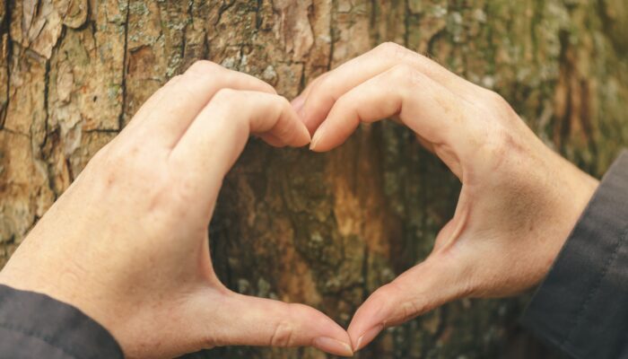 Ecosofia, l'autoconeixement de l'espècie
